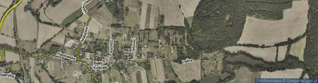 Zdjęcie satelitarne Jodłowa ul.